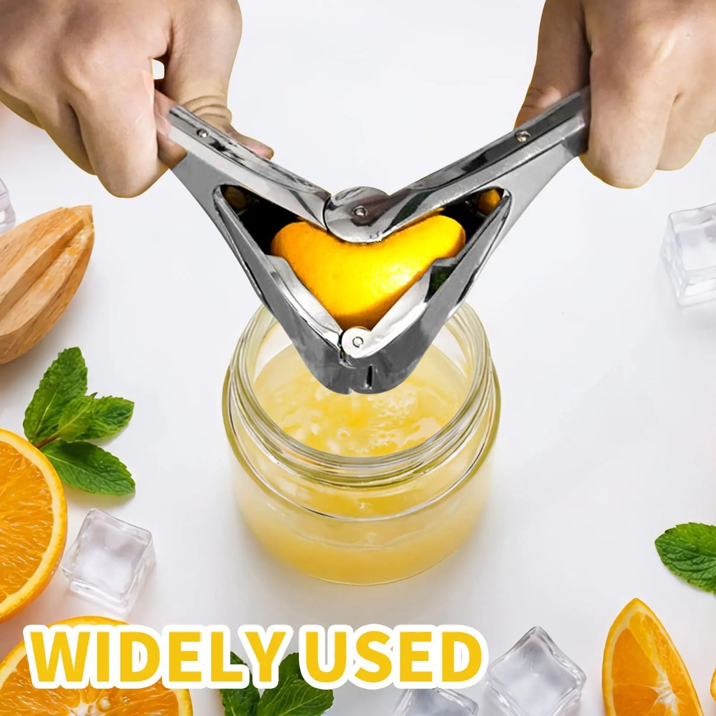 Stainless Steel Citrus Squeezer
