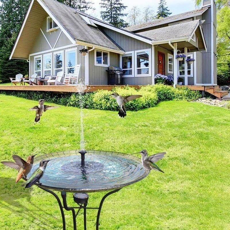 🎉Limited Time 49% OFF ! -🐦️Solar-Powered Bird Fountain Kit